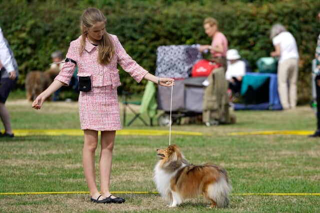 Emily competing with Shetland Sheepdog Belle.
