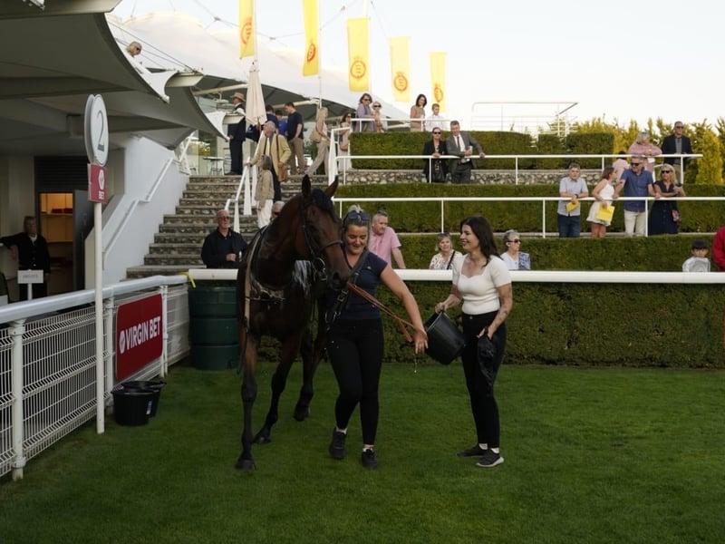 Friday evening racing kicks off bank holiday weekend at Goodwood