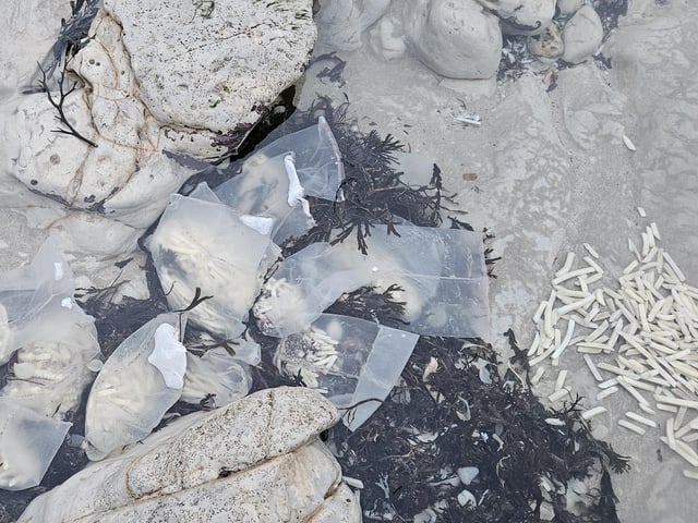 Thousands of chips on the seafront