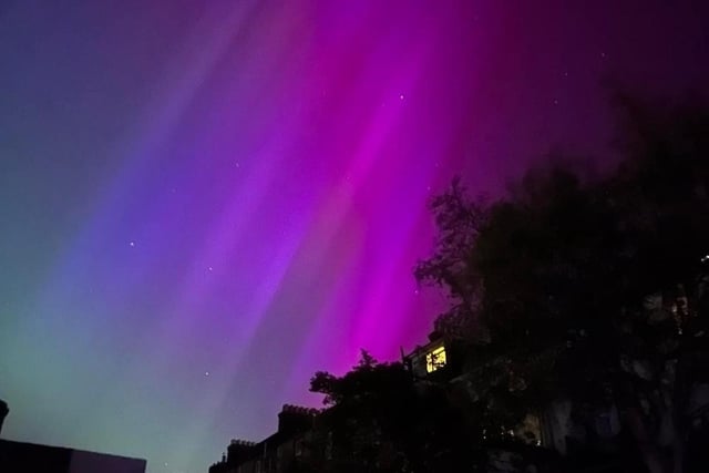 Northern Lights over Hastings by Freda Temple