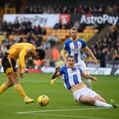Brighton and Hove Albion defender Lewis Dunk had a VAR call go against him in the Premier League match at Wolves