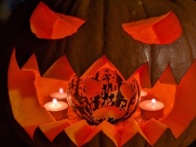 Pumpkin picture provided by Richard Moore