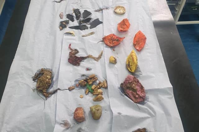 Some of the items removed from Sidney's stomach and intestines
