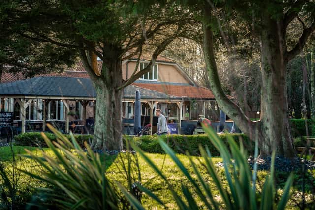 Looking through the trees onto the outdoor terrace at JJ's Bar & Kitchen. Image: Prestige Country Parks