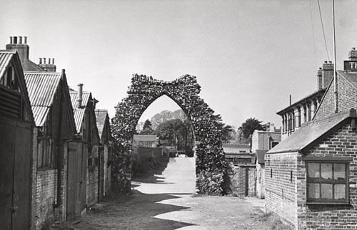 The arch built by Dr Cyrus Elliott from large stones, which later became covered in ivy, hence the name Ivy Arch Road today