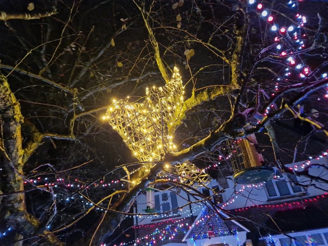 The animal-themed Christmas lights display at 22 Gorse Avenue, Worthing, has been put together by John Wollaston Landscapes and Property Maintenance to raise money for Wadars Animal Rescue Charity.