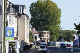 The tree stands next to the Duke of Wellington pub in Brighton Road, Shoreham. Picture: Eddie Mitchell