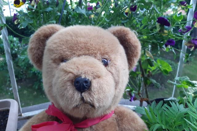 The Teddy Bears’ Picnic returns to St John’s Park in Burgess Hill on Monday, June 27