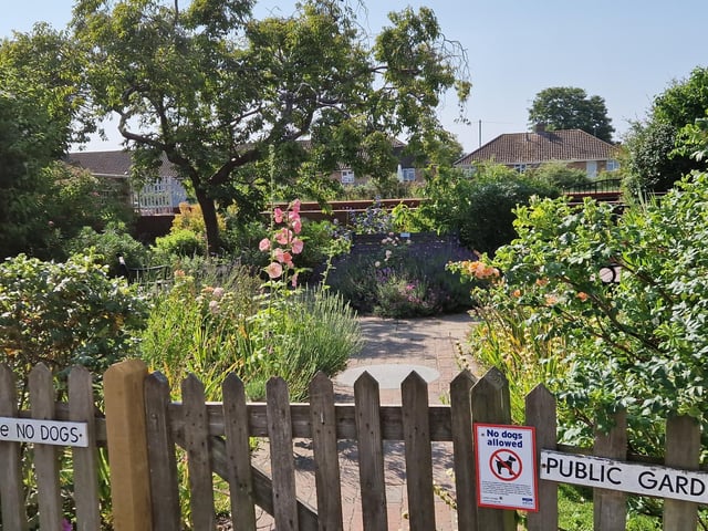 There is a lovely little garden in River Road