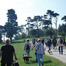 The Great British Dog Walk for Hearing Dogs.