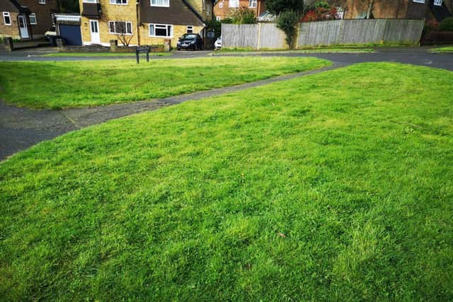 Recent grass cut in North Hailsham