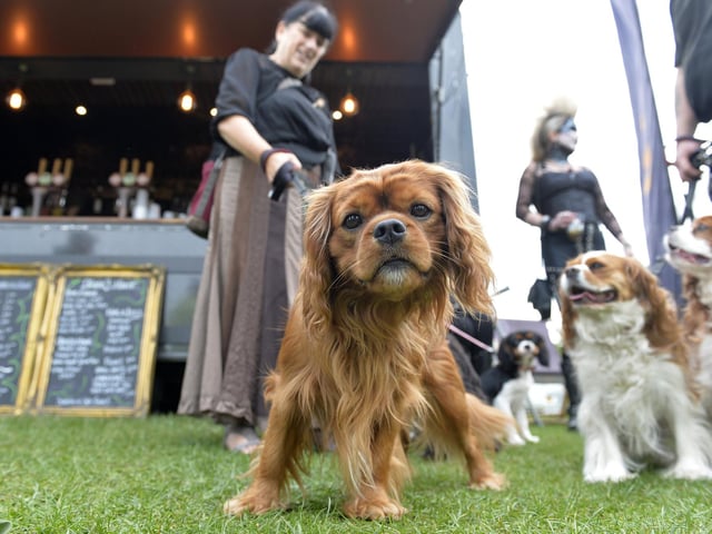 Steampunk Festival Eastbourne 24 (Photo by Jon Rigby)