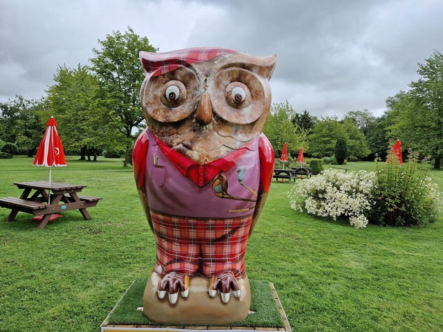 Colourful owls have flown into Arundel as part of the Wild in Art event The Big Hoot trail, raising money for Chestnut Tree House.