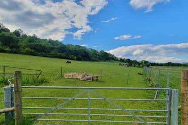 A planning application has been submitted to change the use of an equestrian paddock in Findon Valley ‘to a secure dog walking field’. Photo: Evolve Planning - Looking north from the entrance to the field