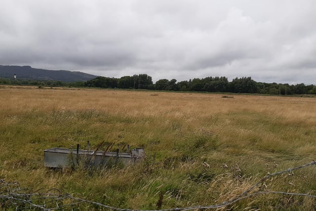 The site where the solar farm could be developed