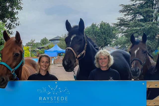 Raystede, the animal welfare charity for Sussex, shares a 70th  anniversary celebration with HM Queen Elizabeth this year.