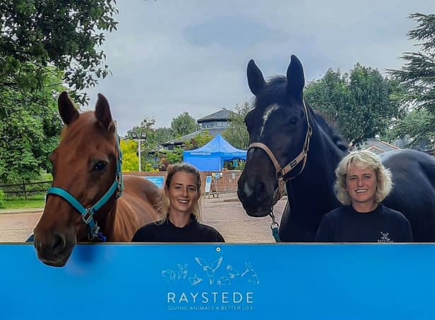 Raystede, the animal welfare charity for Sussex, shares a 70th  anniversary celebration with HM Queen Elizabeth this year.