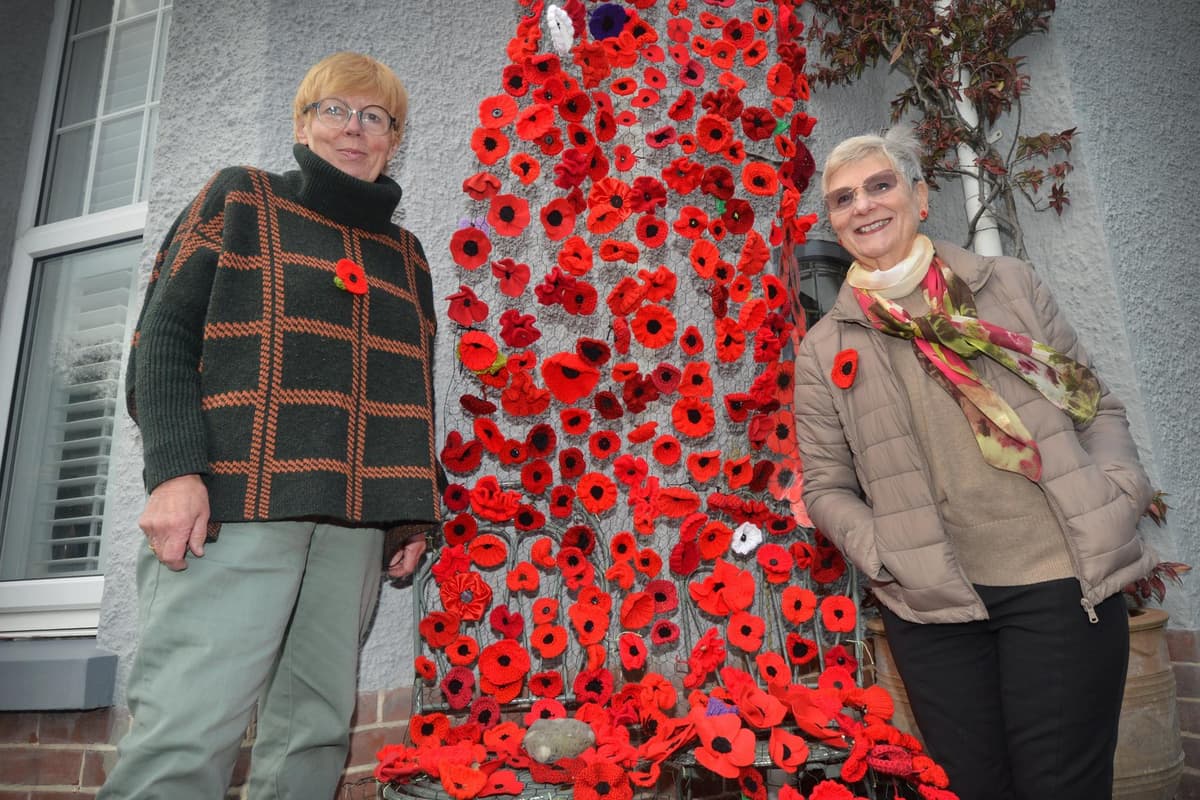 Poppy Collafe East Sussex College to use Eastbourne resident’s poppy display at ...