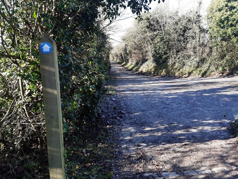 Continue to follow the path past Ecclesden Paddocks.