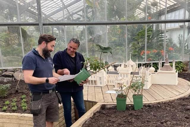 Chelsea Gold Medal-winning garden designer Juliet Sargeant lends a helping hand at Paradise Park