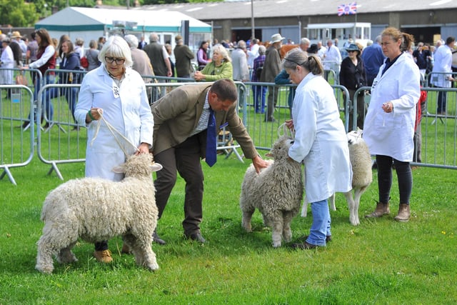 The South of England Show 2022 at Ardingly runs from Friday to Sunday, June 10-12