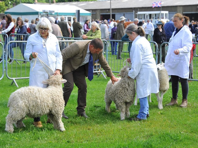 The South of England Show 2022 at Ardingly runs from Friday to Sunday, June 10-12