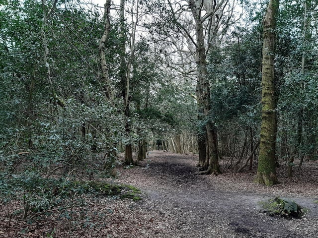 Follow the wide path through the trees