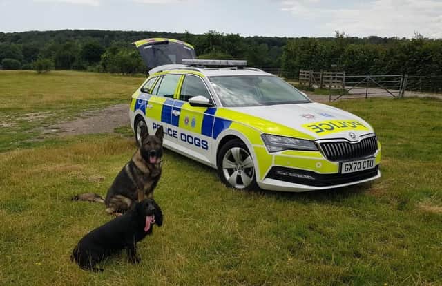 Two police dogs have helped helped track down drugs suspects following a vehicle stop on the A27 at Fontwell Sussex Police has reported.