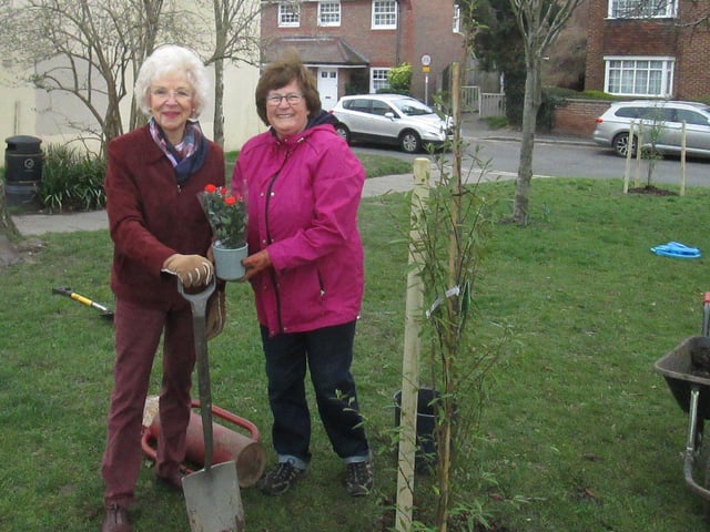 West Sussex Deputy Lieutenant Margaret Bamford with Worthing councillor Hazel Thorpe, planting trees in Tarring