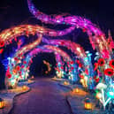 Simulation image by OGE Group for Glow Wild 2026