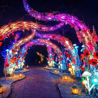 Popular Sussex winter lights trail returns – how to get tickets and prices