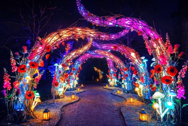 Simulation image by OGE Group for Glow Wild 2026