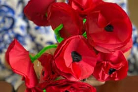 Vitale: Remembrance Day poppies made by local people living with Parkinson's Disease and Dementia