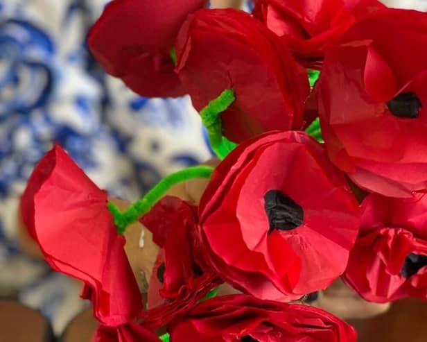 Vitale: Remembrance Day poppies made by local people living with Parkinson's Disease and Dementia