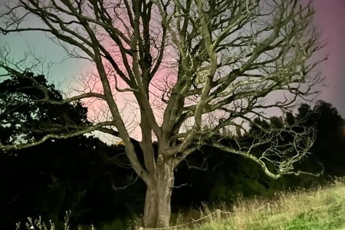 The Northern Lights captured in Horsham District