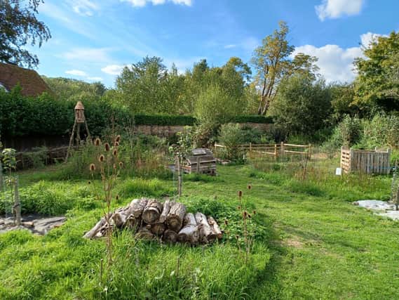 View of the Wildlife Garden at Chesworth Farm 