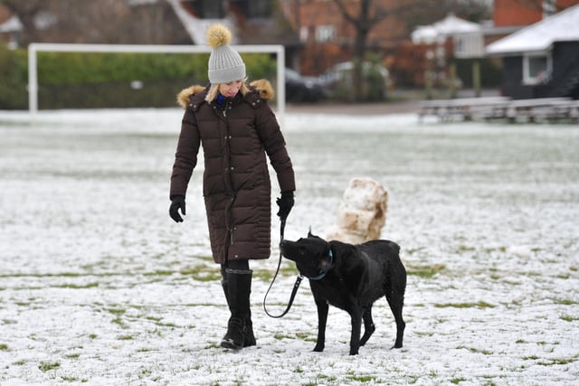 Snow which fell across the Horsham district proved fun for some who enjoy a walk in all weathers, like this pet owner and pooch in Wisborough Green.  Pic S Robards SR2303082