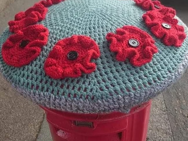 Poppies in Brassey Parade, Hampden Park