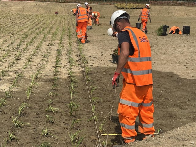Staff at work on the new site.