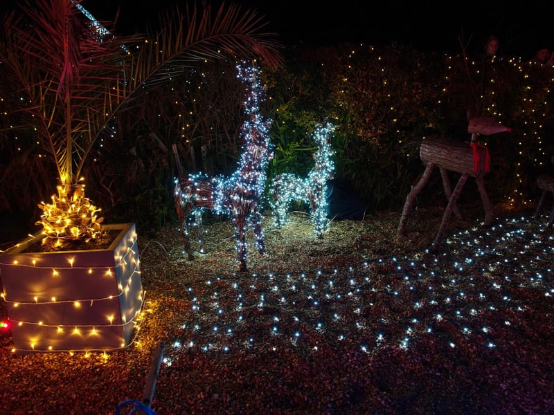 Westfield Christmas Lights 2023. Photo by Frank Copper.