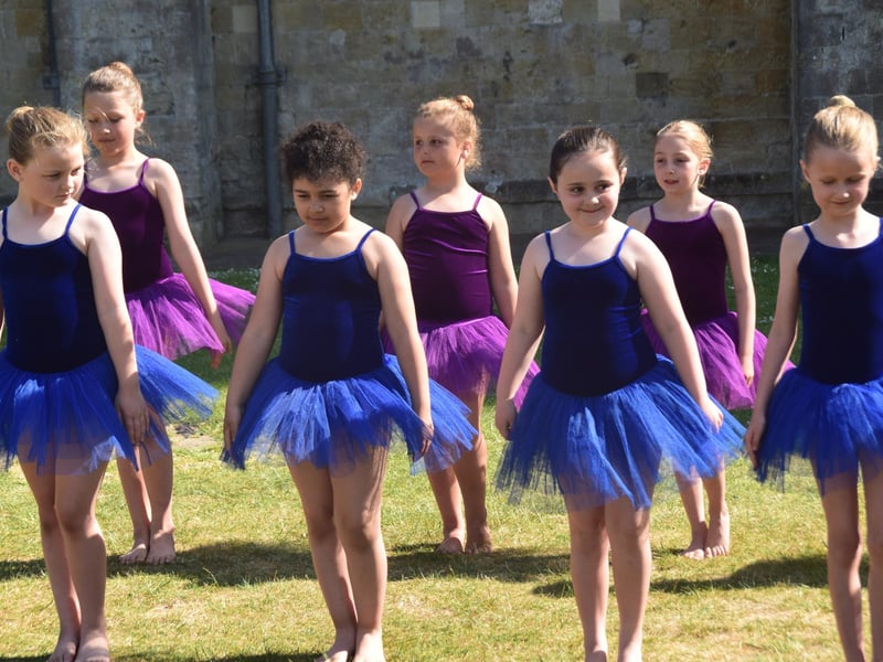 Festival of Chichester launch