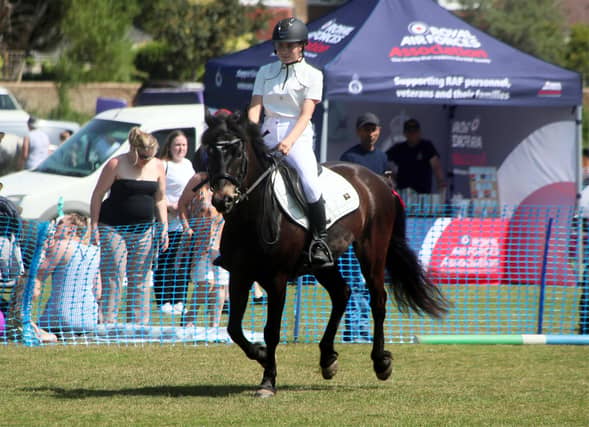 Bexhill Horse Show 2026. Photo by Roberts Photographic