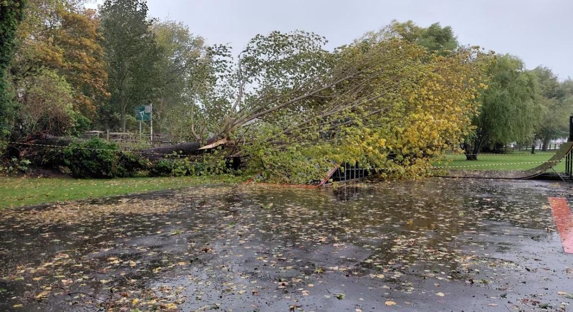 Storms cause damage to trees in Hastings and Rye