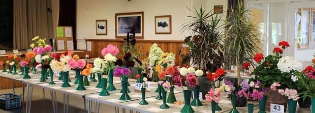 The annual flower show in Lavant is set to make its return.
Pic by the Lavant Flower Show