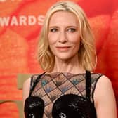 Lord of the Rings star Blanchett and her partner Andrew Upton sought planning permission to build 90 panels on agricultural land to the south of their East Sussex Victorian mansion in January 2023. (Photo by Noam Galai/Getty Images)