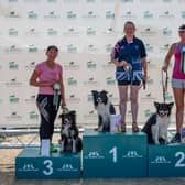 Ashley Carter and Epic win first place at the Kennel Club British Open Large. Pic by Yulia Titovets.
