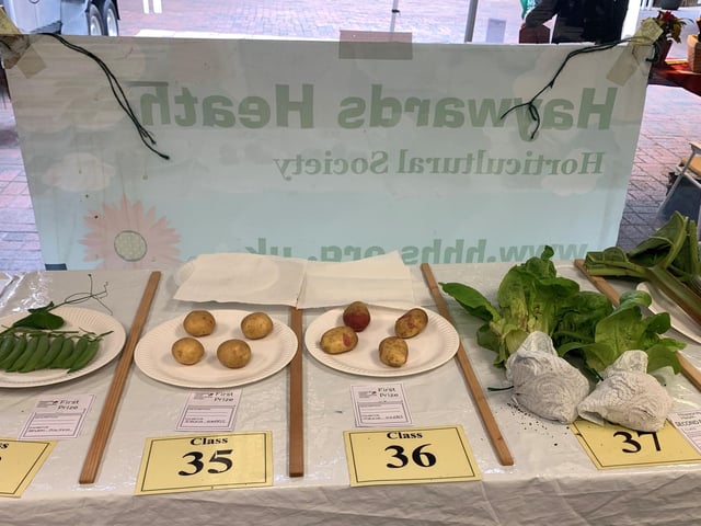 A selection of vegetables