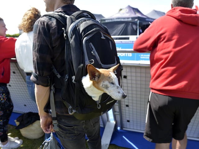 Eastbourne Triathlon 2024 (Photo by Jon Rigby)