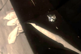 A photo Maguire sent after slashing the sofa