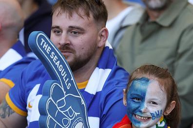 A fan of Brighton & Hove Albion shows their support during the Premier League match